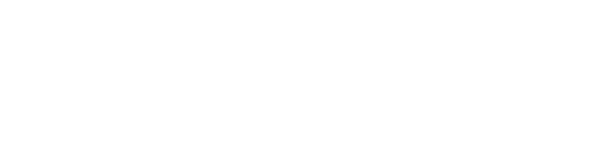 The logo of Leon Elstar - designed by Pierre van Dijk